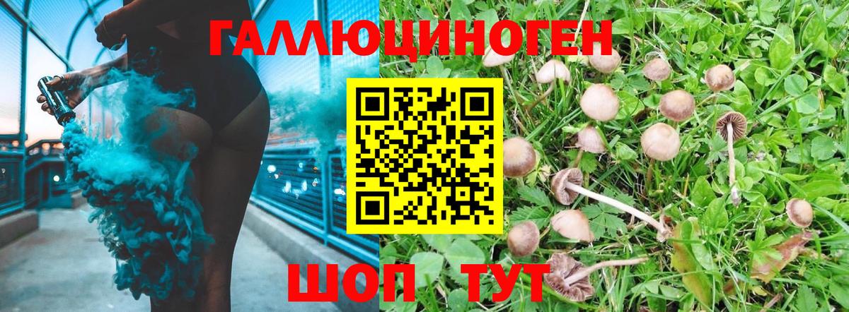 Псилоцибиновые грибы Magic Shrooms  Вход с VPN  Горно-Алтайск 
